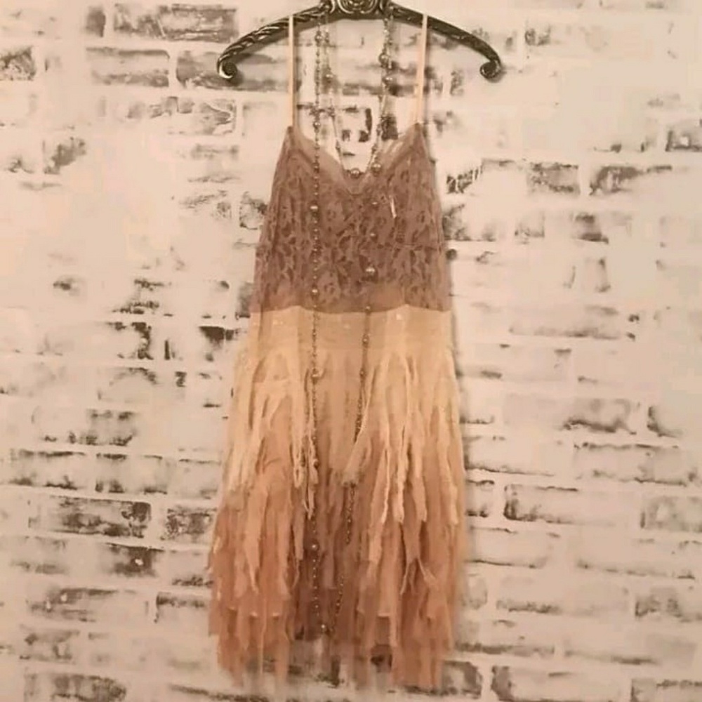 Free People Sheer Ombre Feather lace tulle slip
